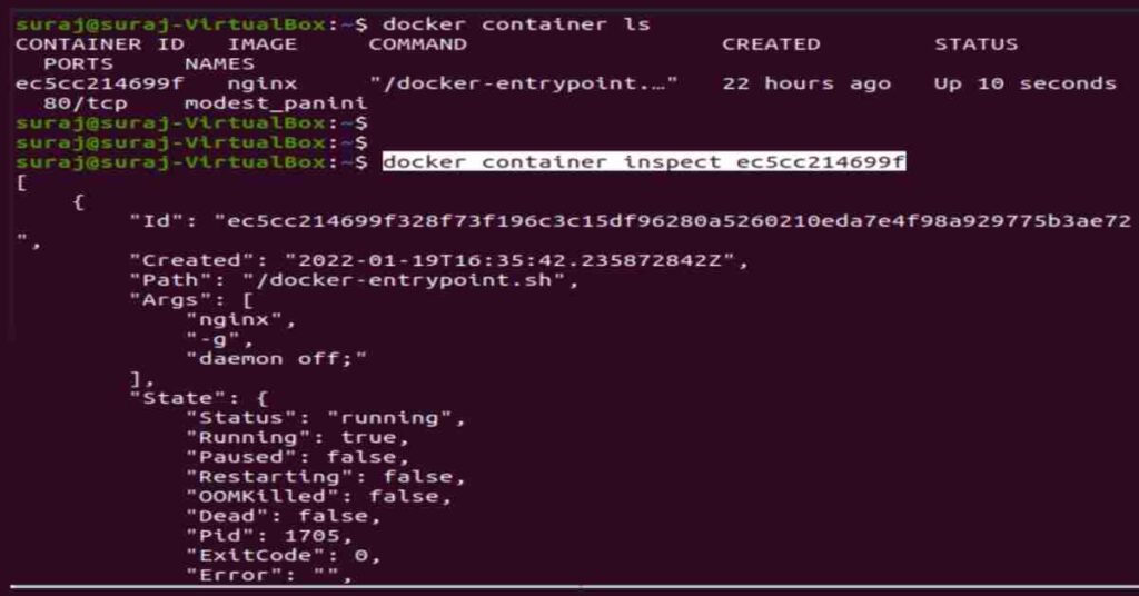 docker container inspect
